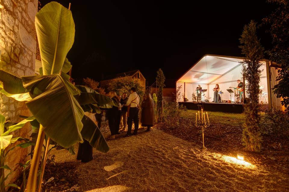 Concert