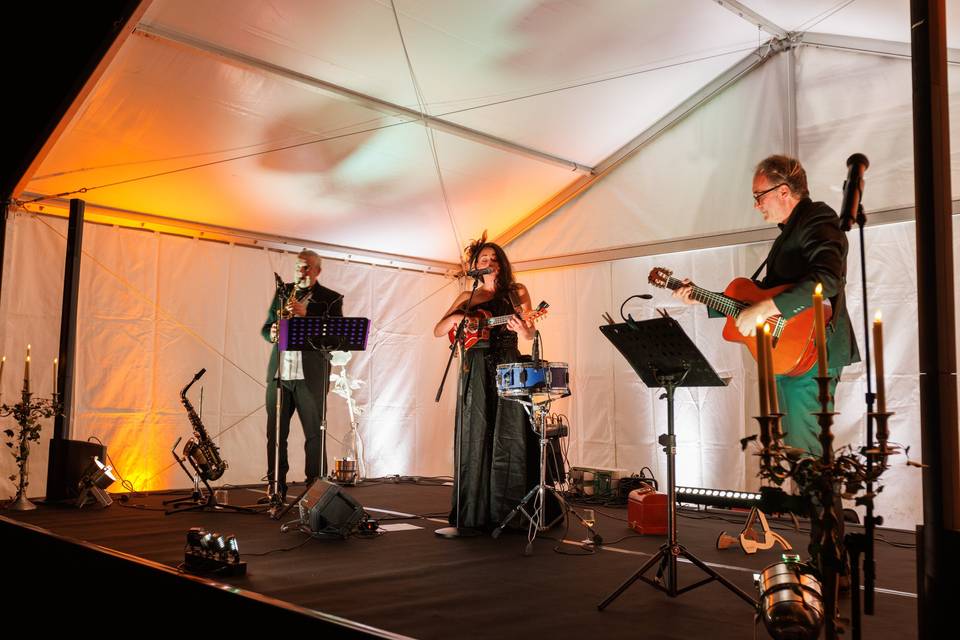 Concert