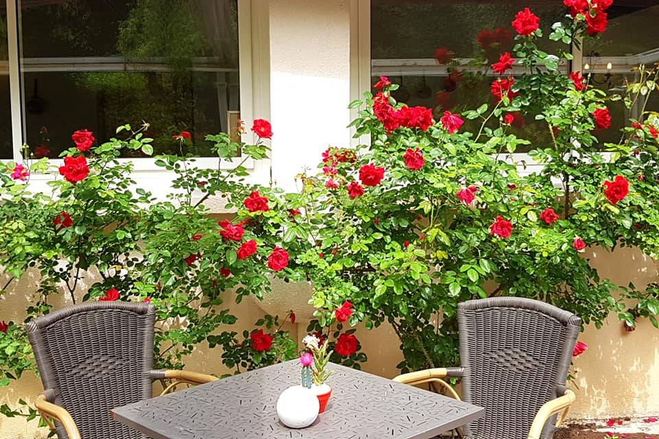 Terrasse fleurie