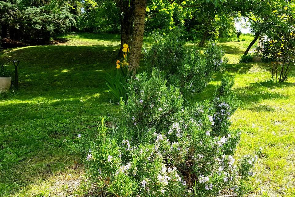 Jardin
