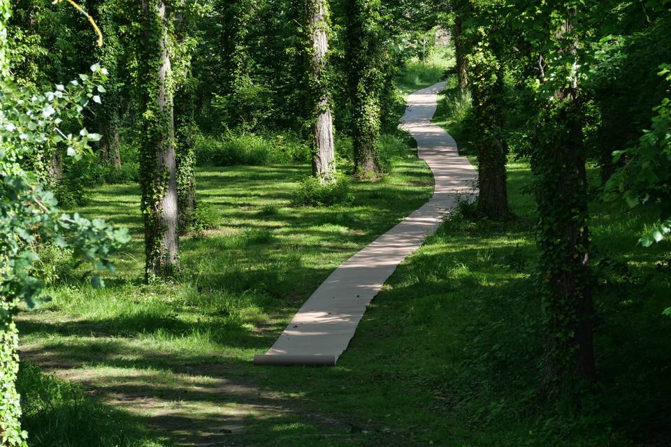 Le chemin du bonheur