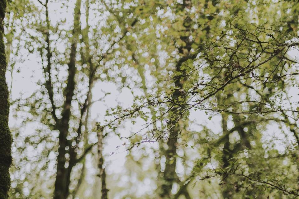 Cécile-Aurore Lartigue - Photographe et Graphiste