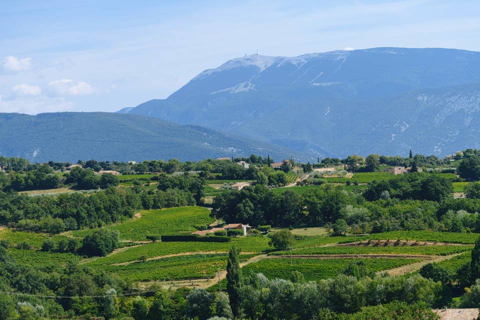 Cave la Comtadine