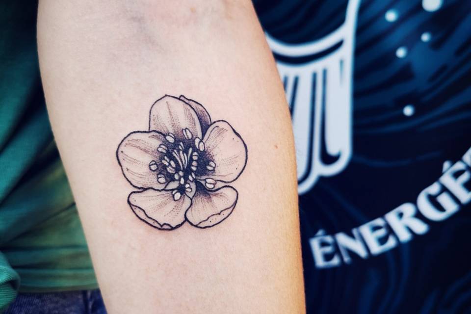 Emilie Vasset