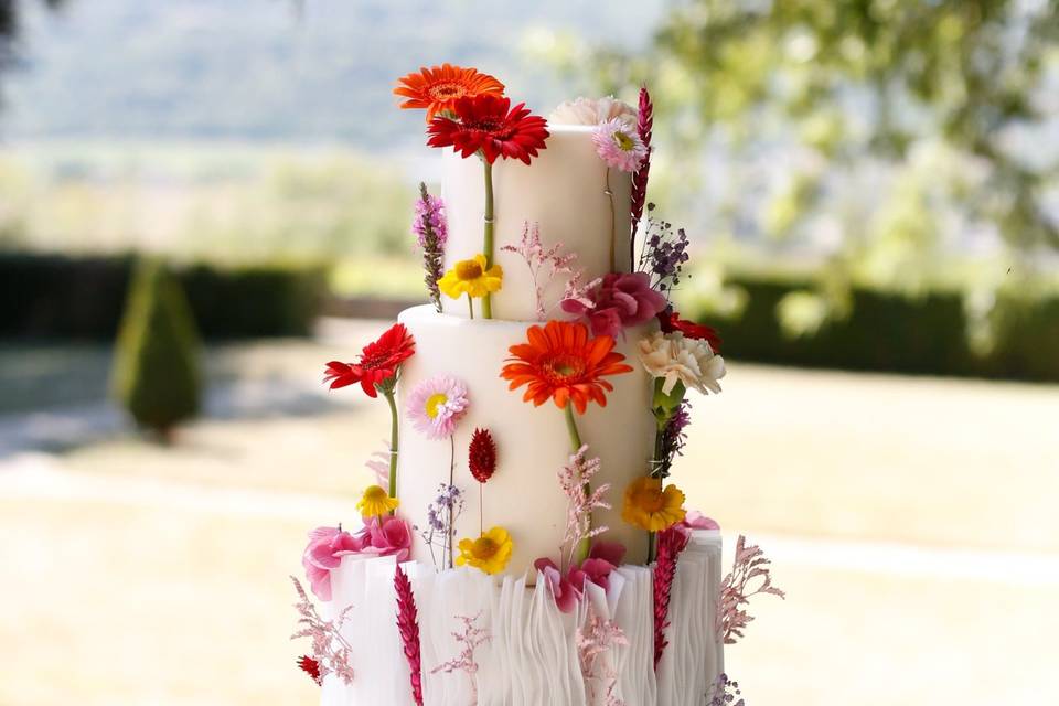 Any Sweet Cake