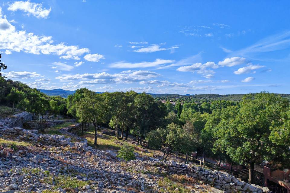 La garrigue