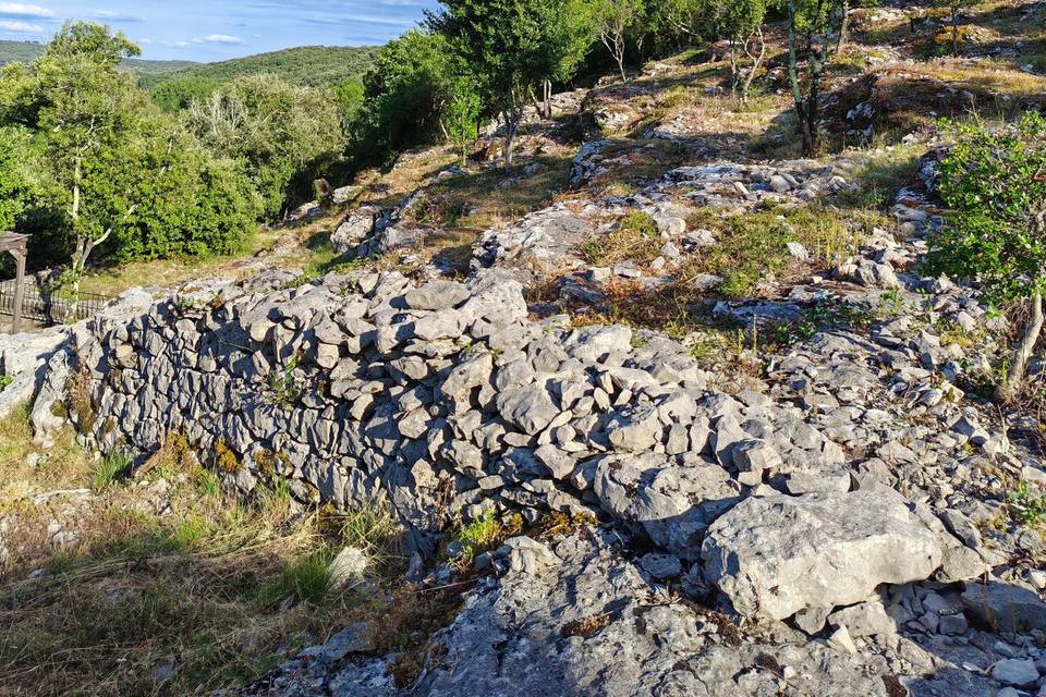 La garrigue