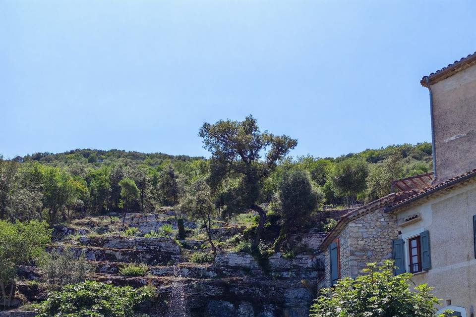 Le bassin de la Source