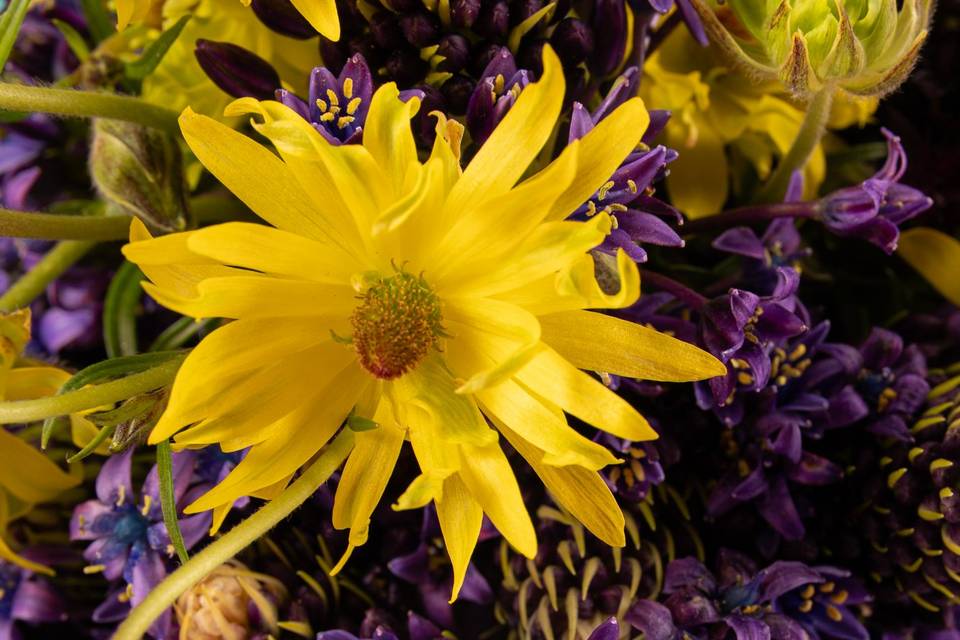 Détail bouquet