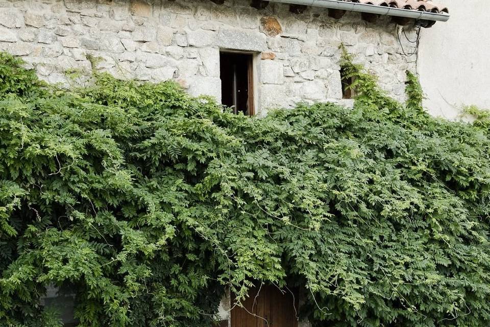 Sous la glycine