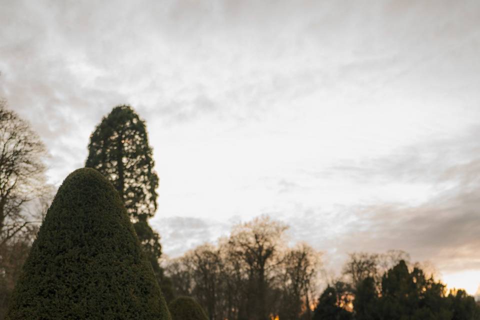 Portrait naturel des mariés dans un jardin