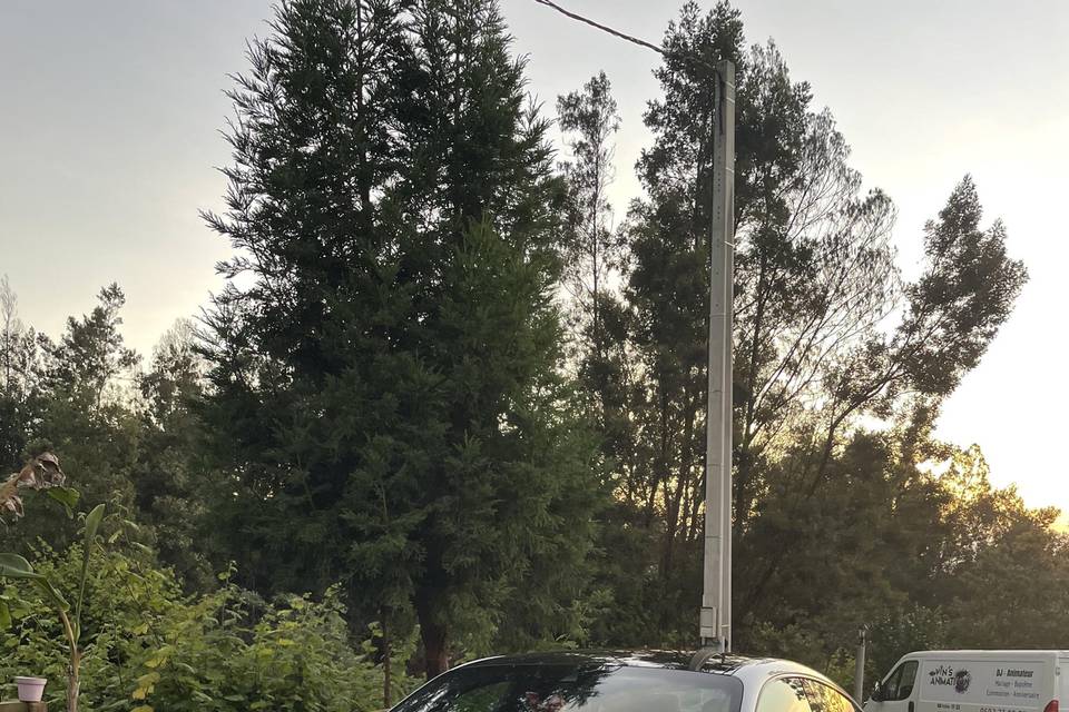 Porshe TAYCAN