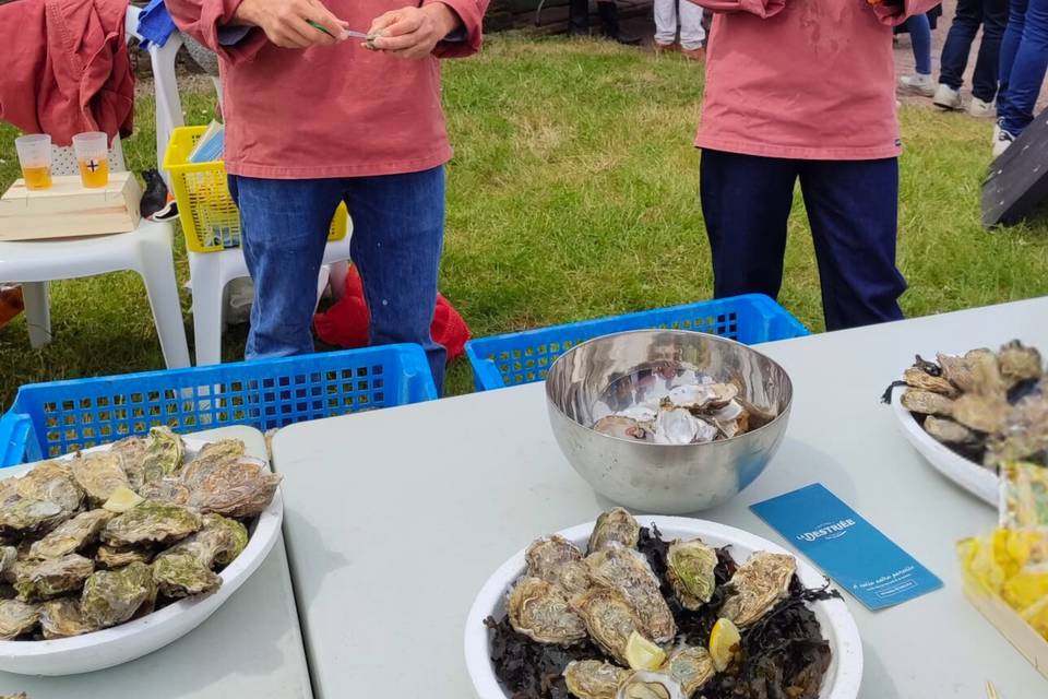 Forges de Paimpont