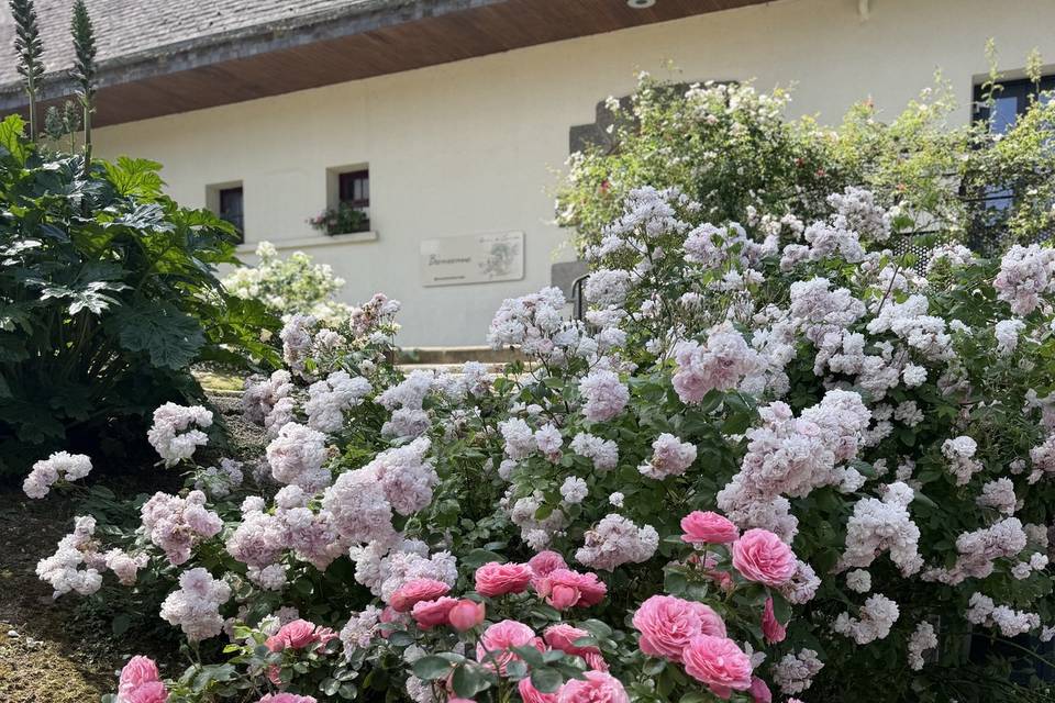Nos Fleurs