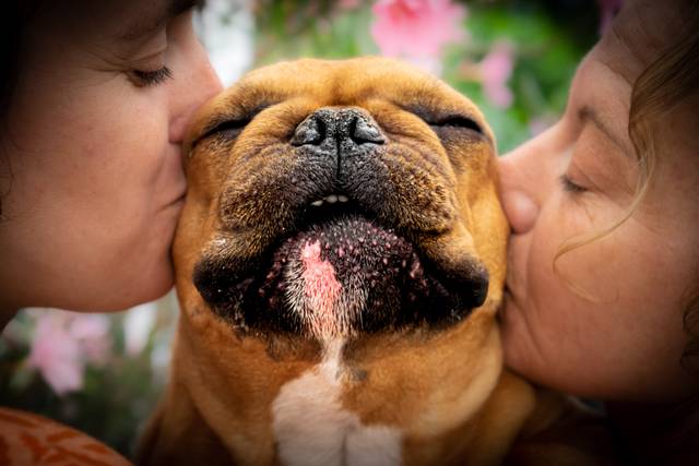 Un loulou heureux