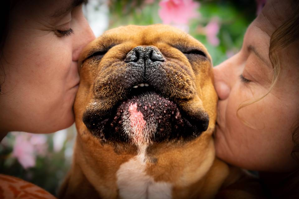 Un loulou heureux