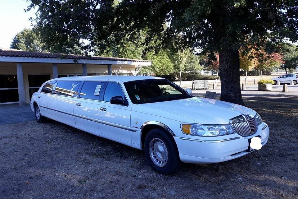 Pro limousine