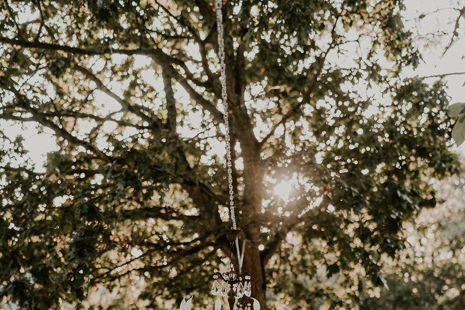 Sous les branches