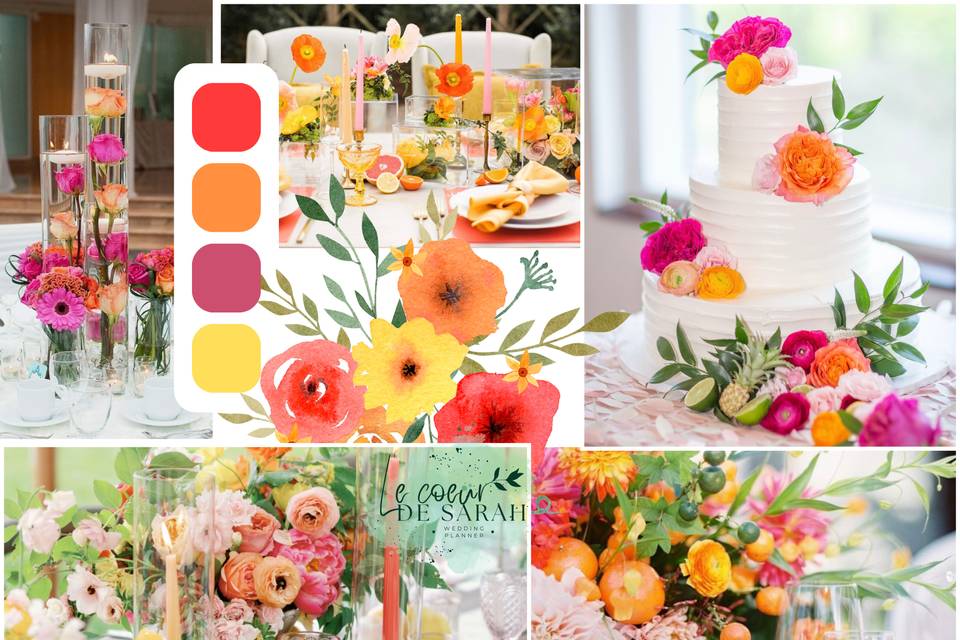 La vie en couleurs