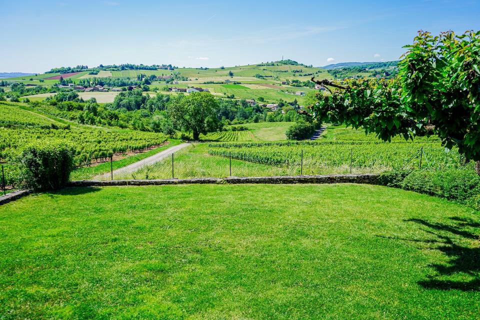 Le jardin