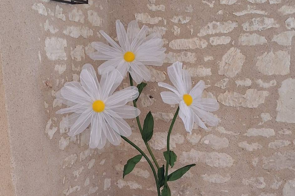 Marguerites géantes