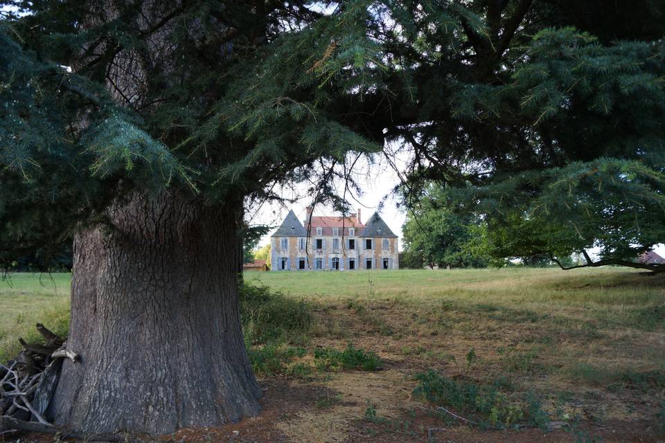 Château de Rossignol