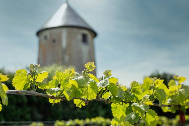 Domaine Ménard-Gaborit