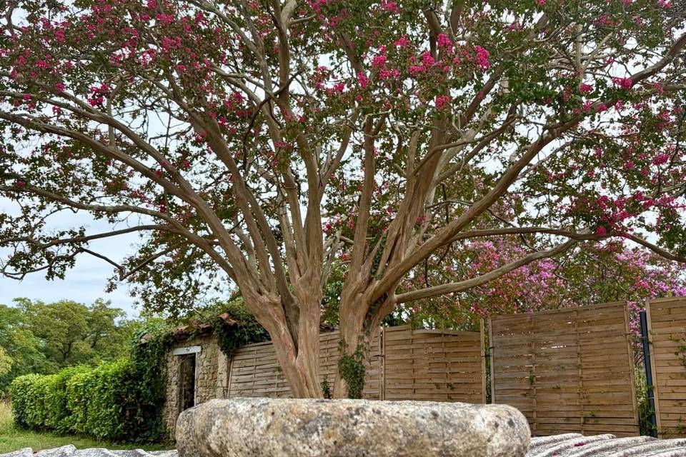 Jardin