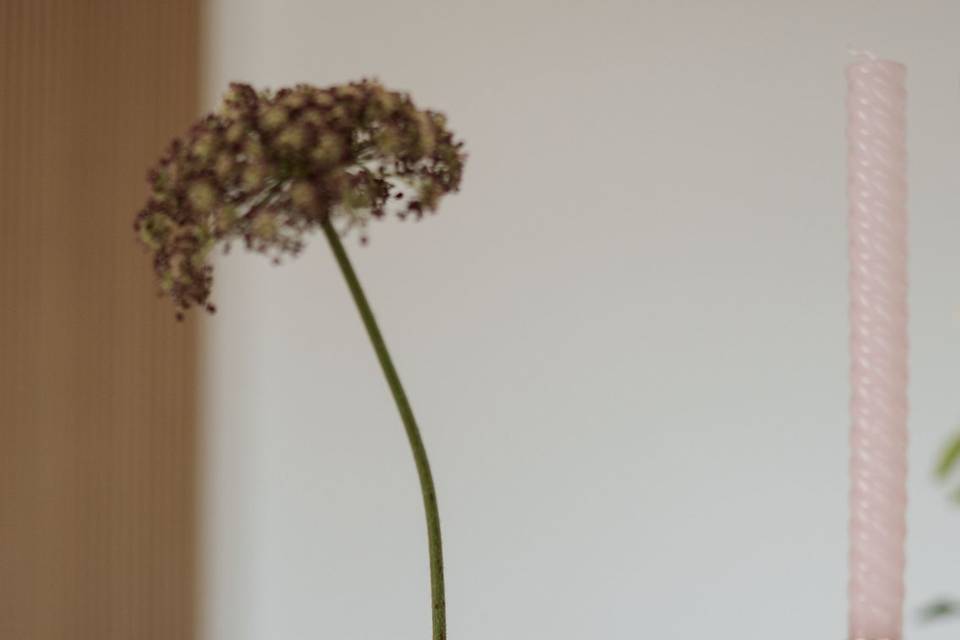 Décoration de table