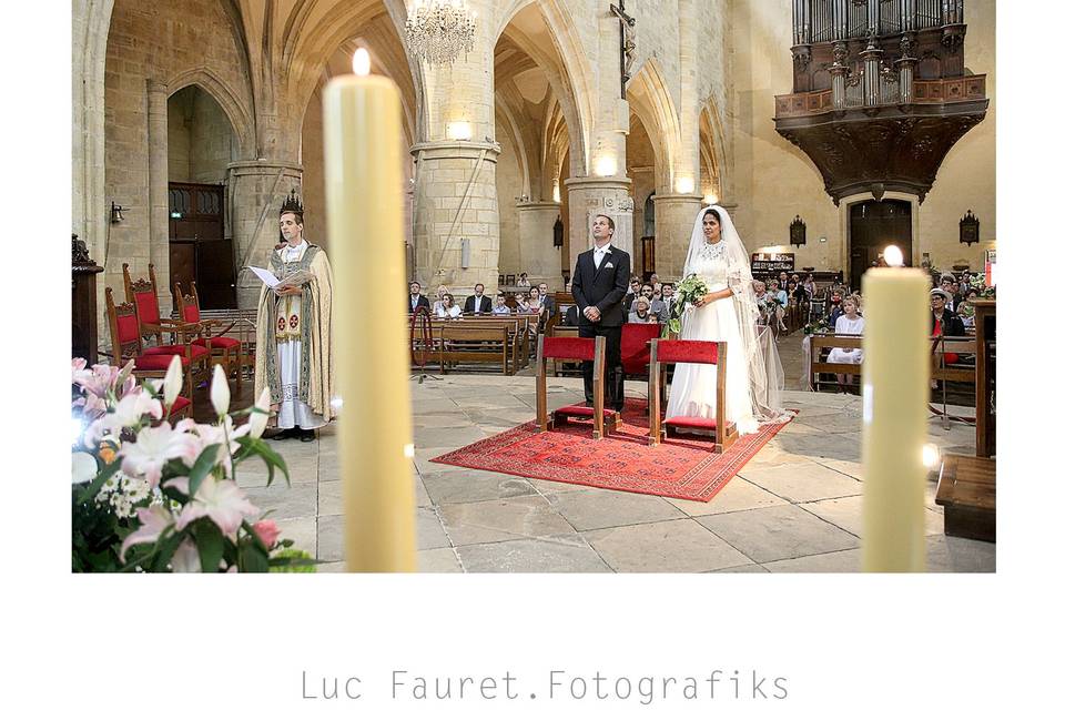 Luc Fauret Photographe