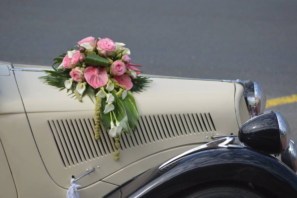 L' Alchimie du Regard