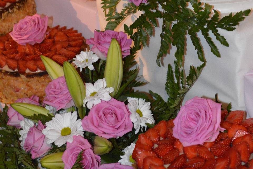 L' Alchimie du Regard