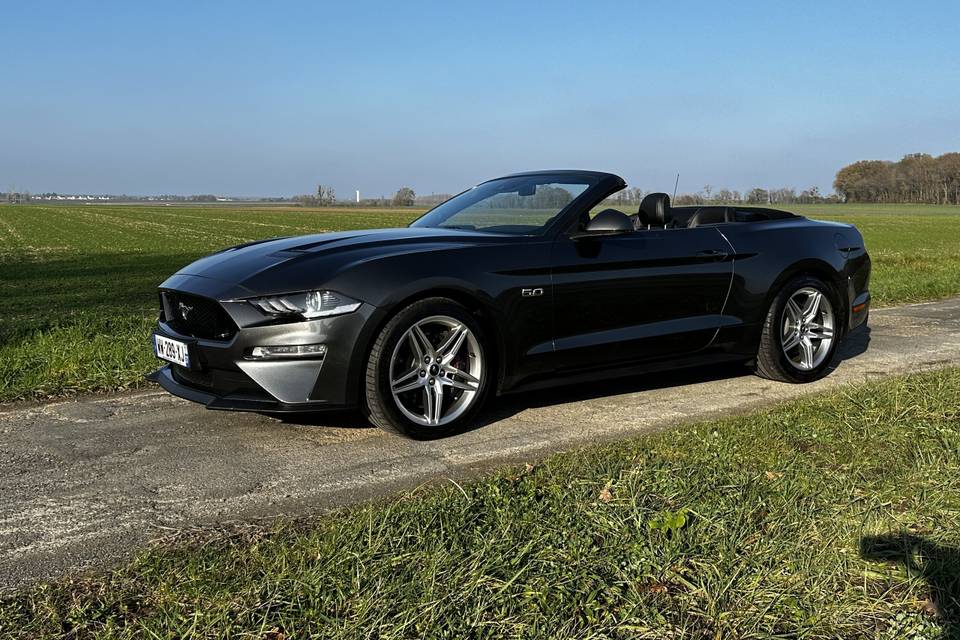 Mustang cabriolet V8