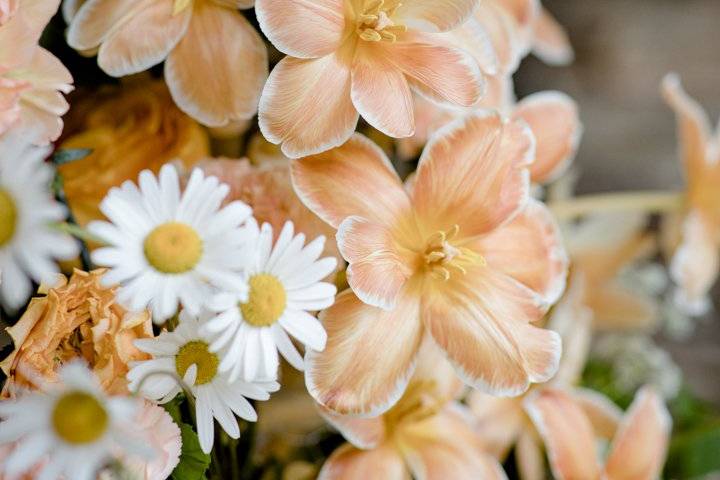 Fleurs de cérémonie