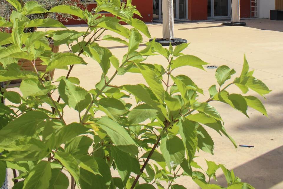 Terrasse