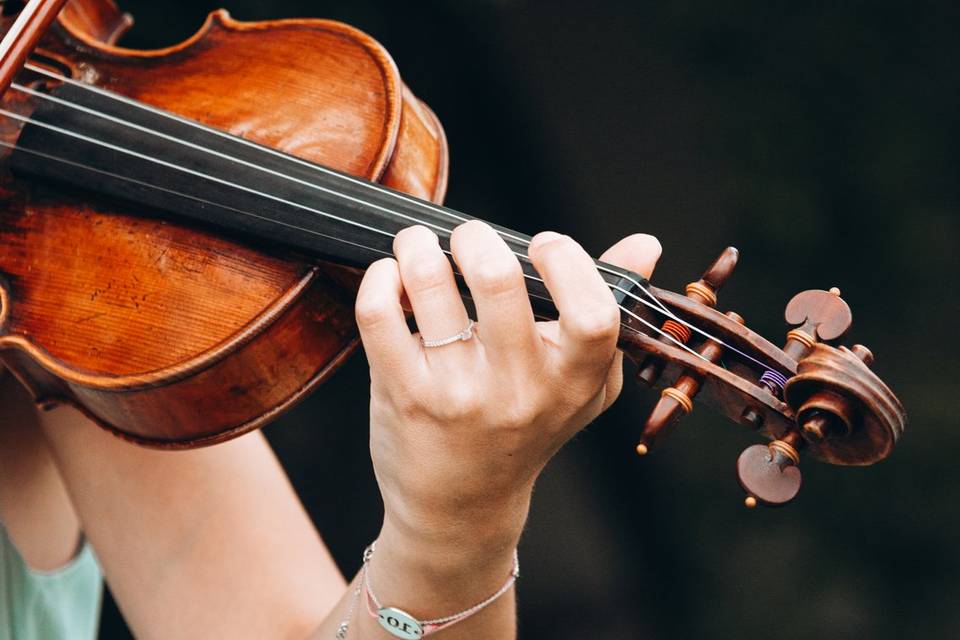 Violon