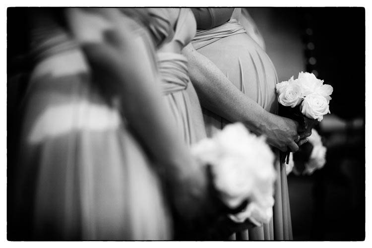 Nelsonmarques photography