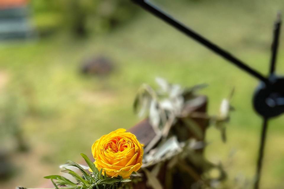 Détails floraux
