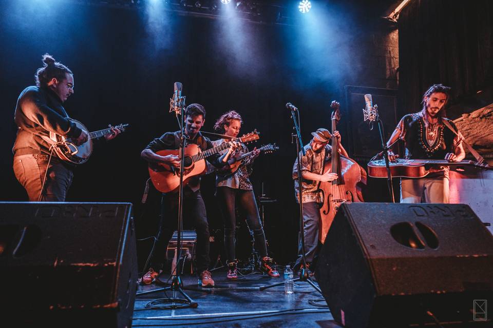 Lazy Grass String Band