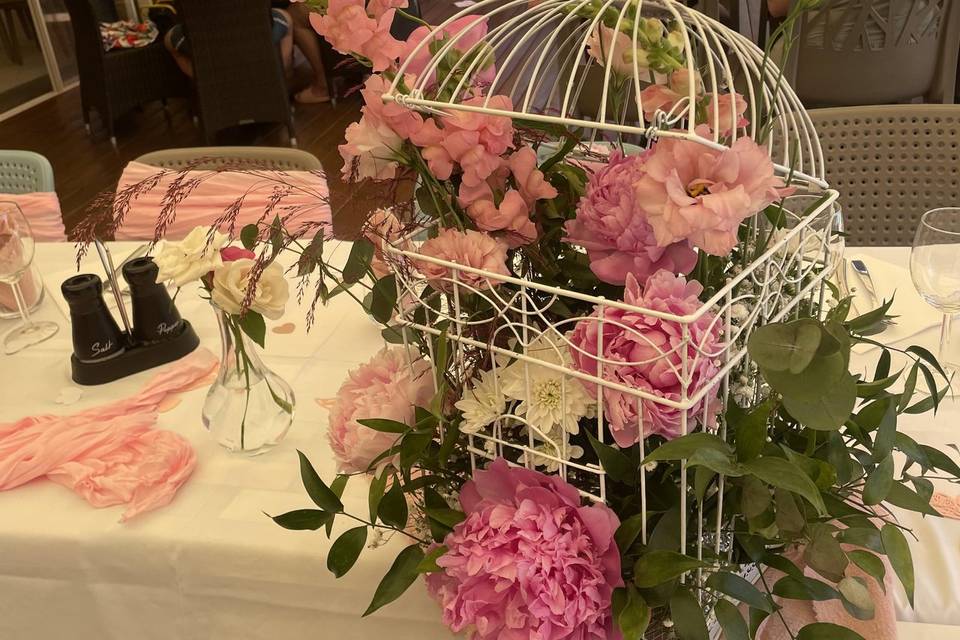 Cage oiseur