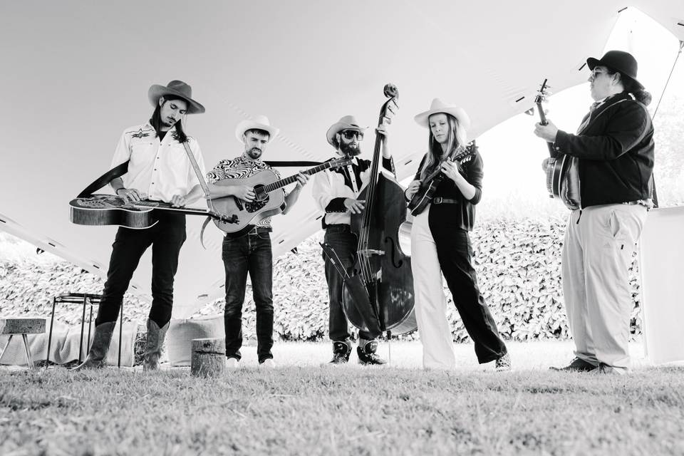 Bluegrass Club