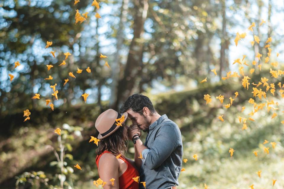 Pré-mariage