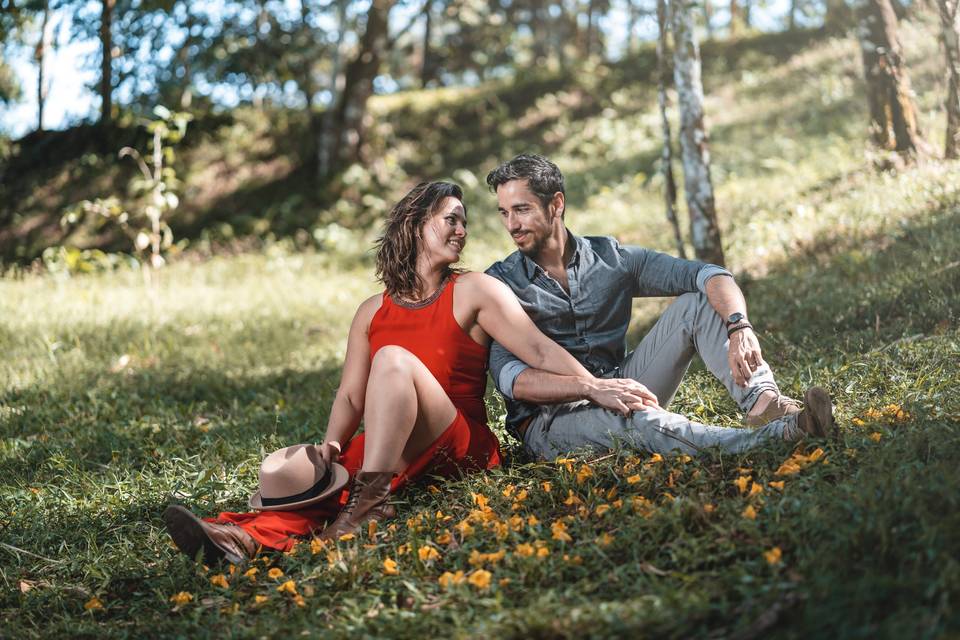 Pré-mariage