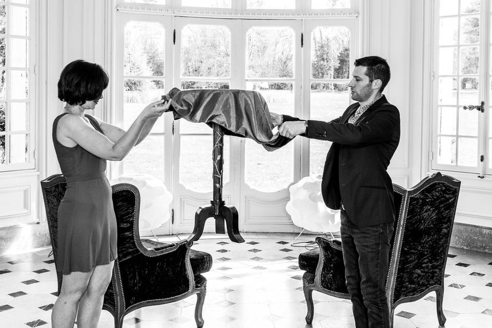 Magie de salon
