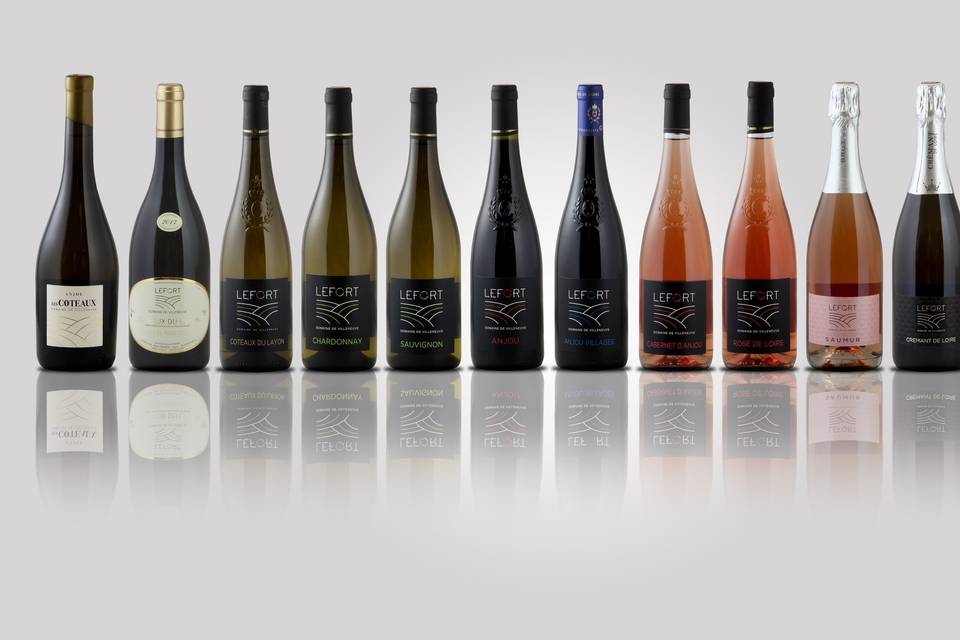 Domaine de Villeneuve