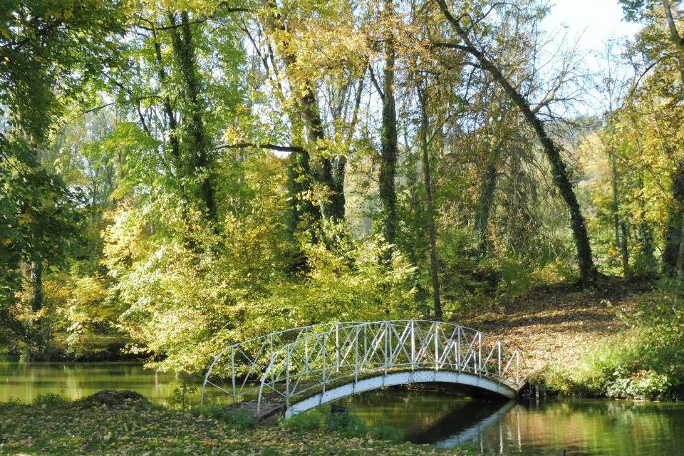 Pont dans le parc