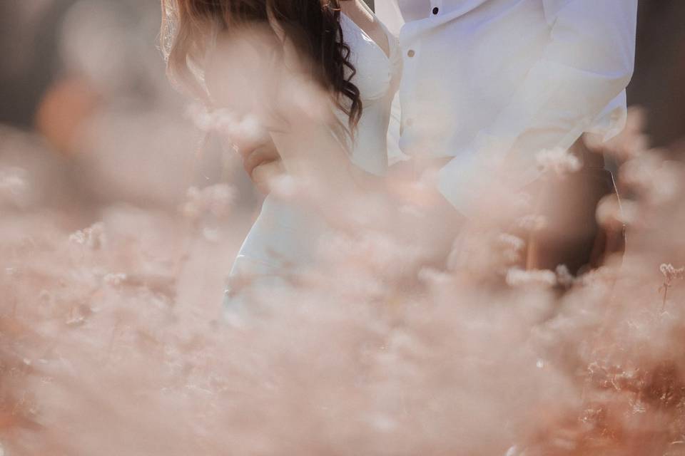 Photographe en provence