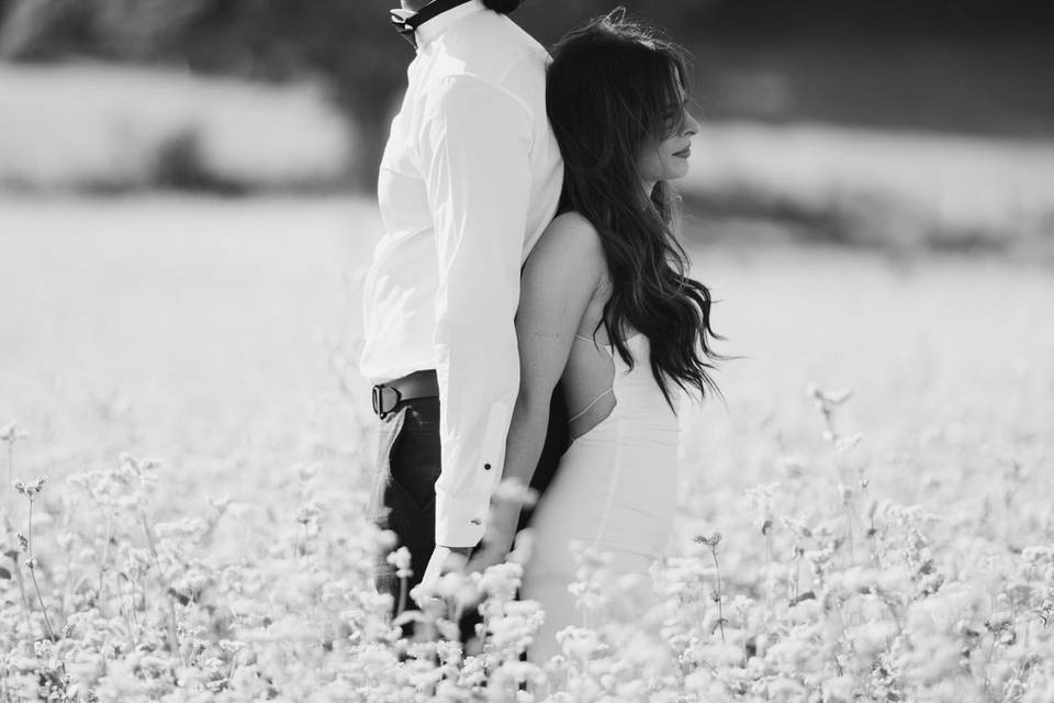 Photographe en provence