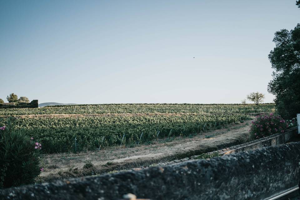 Les Vins de Montaude