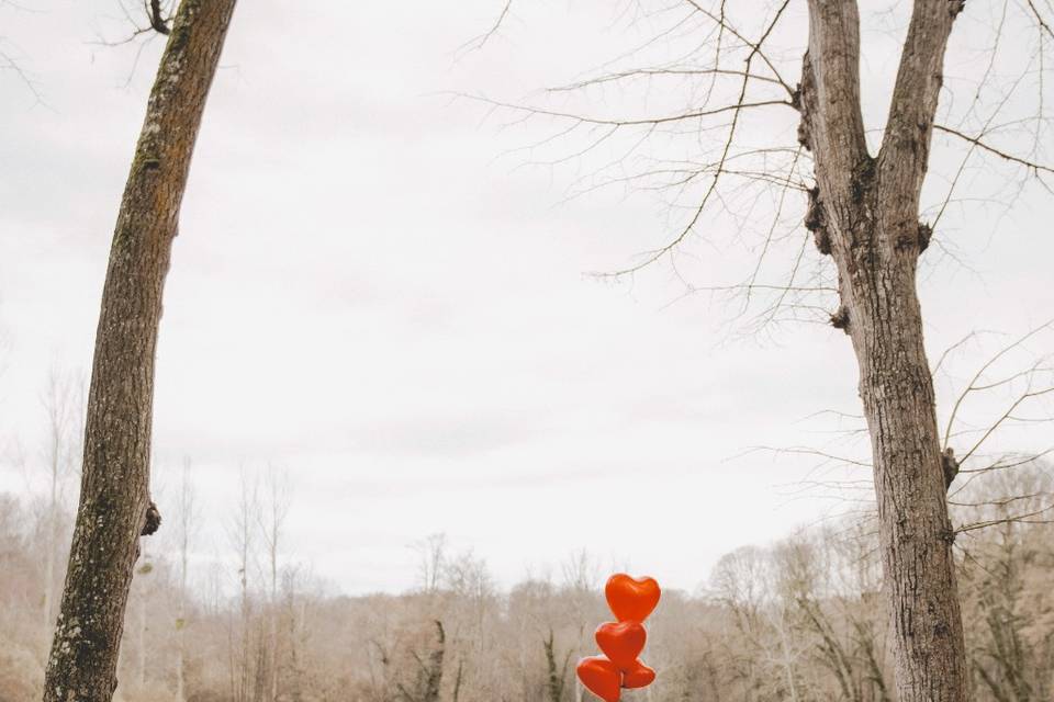 Un violon vibrant d'amour